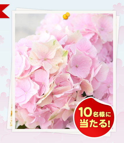 10���l�ɓ�����I