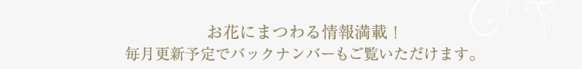 お花にまつわる情報満載!毎月更新予定でバックナンバーもご覧いただけます。