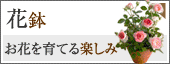 花鉢