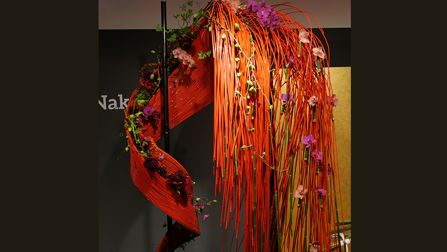 Ԃ̍ۋZ@2015 C^[t[[hJbvuRaiging.Dv