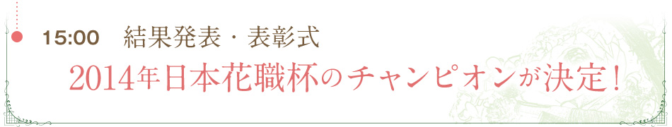 15:00 ʔ\E\ 2014N{ԐEt̃`sII