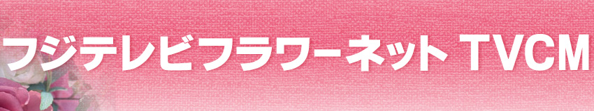 �t�W�e���r�t�����[�l�b�gTVCM