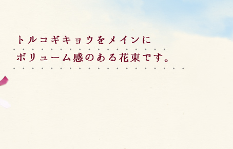 �g���R�M�L���E�����C���Ƀ{�����[�����̂���ԑ��ł��B