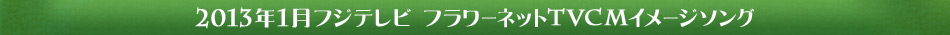 2013�N1�� �t�W�e���r�t�����[�l�b�gTVCM �C���[�W�\���O