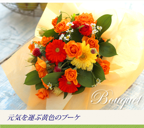 11月の誕生日花 ガーベラ 花屋が手届け配達 花束などフラワーギフトは フジテレビフラワーネット