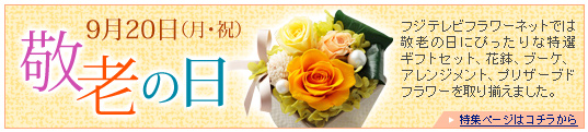 �h�V�̓��Ƀs�b�^���̏��i���ځI�@���W�y�[�W�̓R�`������