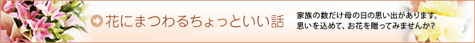 花にまつわるちょっといい話