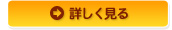 詳しく見る