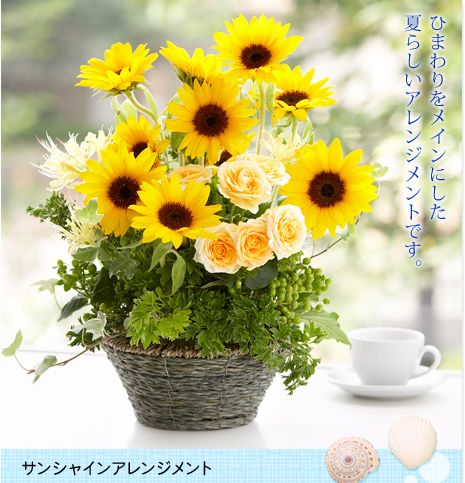 サマーギフト特集 | 花屋が手届け配達!花束などフラワーギフト サマーギフト特集 | 花屋が手届け配達!花束などフラワーギフト