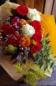 �t�H�g�M�������[�摜