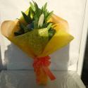 �t�H�g�M�������[�摜