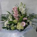 �t�H�g�M�������[�摜