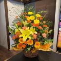 �t�H�g�M�������[�摜