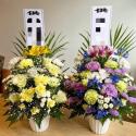 �t�H�g�M�������[�摜