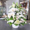 �t�H�g�M�������[�摜