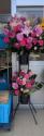 �t�H�g�M�������[�摜