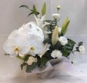�t�H�g�M�������[�摜