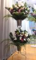 �t�H�g�M�������[�摜