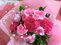 �t�H�g�M�������[�摜
