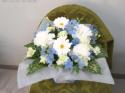 �t�H�g�M�������[�摜