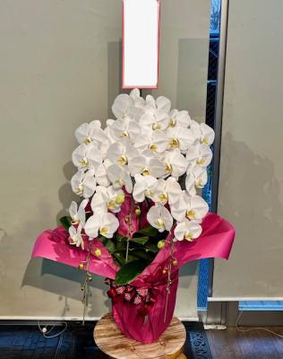 宮城県仙台市 宮城野区の花屋「ベルエポック」をご紹介 | フラワー