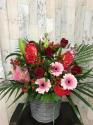 �t�H�g�M�������[�摜