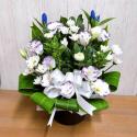 �t�H�g�M�������[�摜