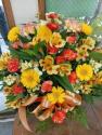 �t�H�g�M�������[�摜