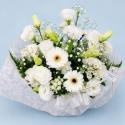 �t�H�g�M�������[�摜