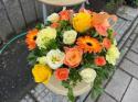 �t�H�g�M�������[�摜