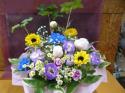 �t�H�g�M�������[�摜