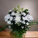 �t�H�g�M�������[�摜