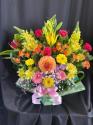 �t�H�g�M�������[�摜