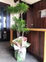 tHgM[摜