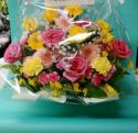 �t�H�g�M�������[�摜