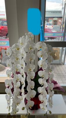 群馬県桐生市の花屋 とみざわ生花店 をご紹介 フラワーギフトはプロのお花屋さんにおまかせ フジテレビフラワーネット 群馬県桐生市の花屋 とみざわ生花店 をご紹介 フラワーギフトはプロのお花屋さんにおまかせ フジテレビフラワーネット