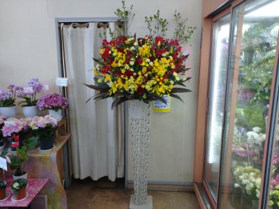栃木県小山市の花屋 オリーブ をご紹介 フラワーギフトはプロのお花屋さんにおまかせ フジテレビフラワーネット