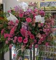 �t�H�g�M�������[�摜