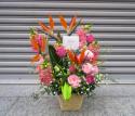 �t�H�g�M�������[�摜