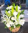 �t�H�g�M�������[�摜
