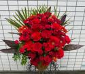 �t�H�g�M�������[�摜