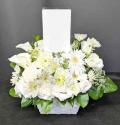 �t�H�g�M�������[�摜