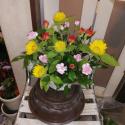 �t�H�g�M�������[�摜