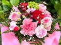 �t�H�g�M�������[�摜