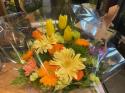 �t�H�g�M�������[�摜