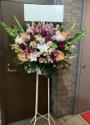 �t�H�g�M�������[�摜