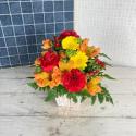 �t�H�g�M�������[�摜