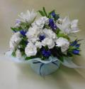 �t�H�g�M�������[�摜