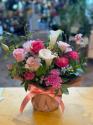 �t�H�g�M�������[�摜