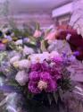 �t�H�g�M�������[�摜